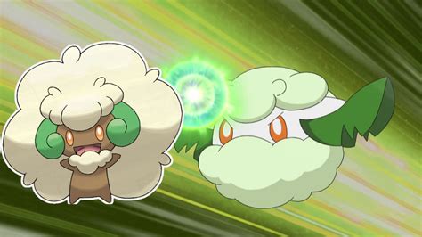 what does whimsicott evolve into.